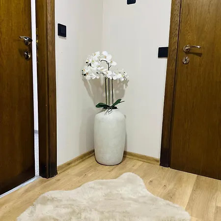 Apartman Martin 2 *